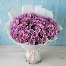 Букет цветов из:  Хризантемы в Винзили