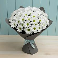Букет цветов из:  Хризантемы #REPLACE_PRED# Винзили