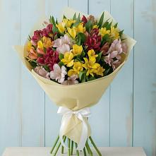 Букет цветов из:  Альстромерии в Винзили