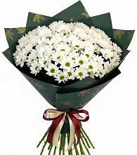 Букет цветов из:  Хризантемы в Винзили