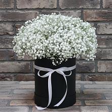 Цветочная композиция из Гипсофила в шляпной коробке в Винзили