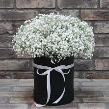 Цветочная композиция из Гипсофила в шляпной коробке в Винзили