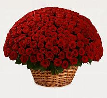 Премиум букет из: Розы в Винзили