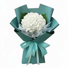 Букет цветов из:  Гортензия в Винзили
